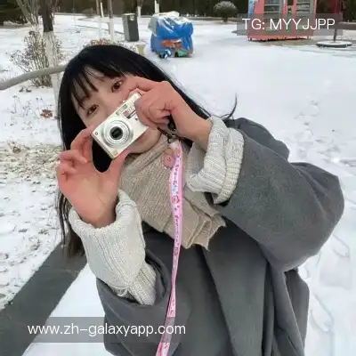 刁帆展
